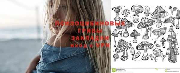 скорость Алексин