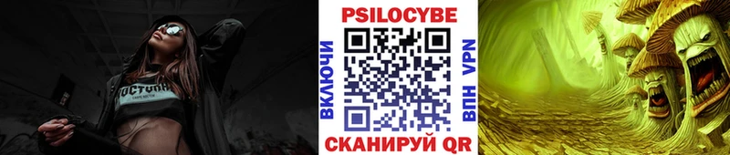 Купить закладки  Холм  Псилоцибиновые грибы GOLDEN TEACHER 